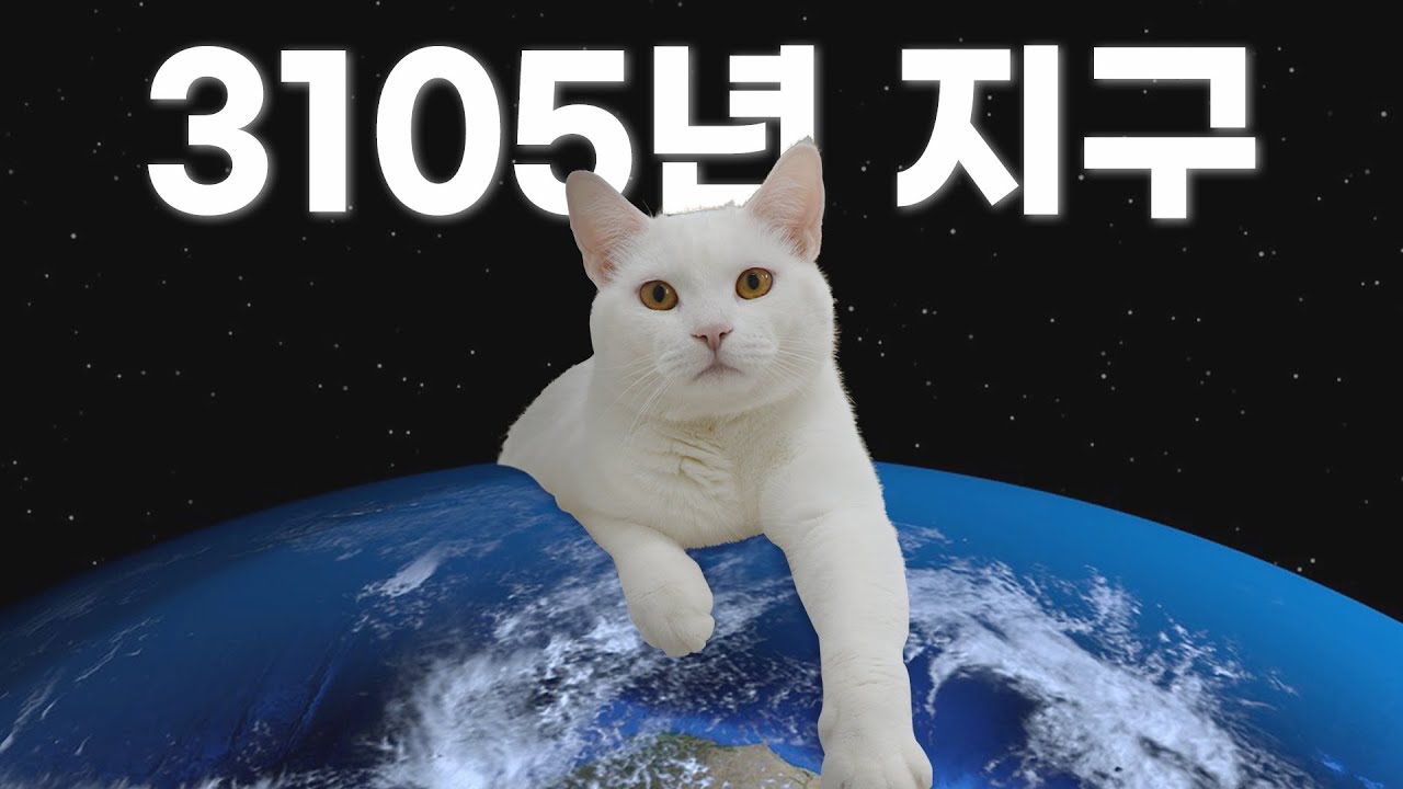 결국 지구를 정복한 고양이... 【산냥고】 | 고양이산책