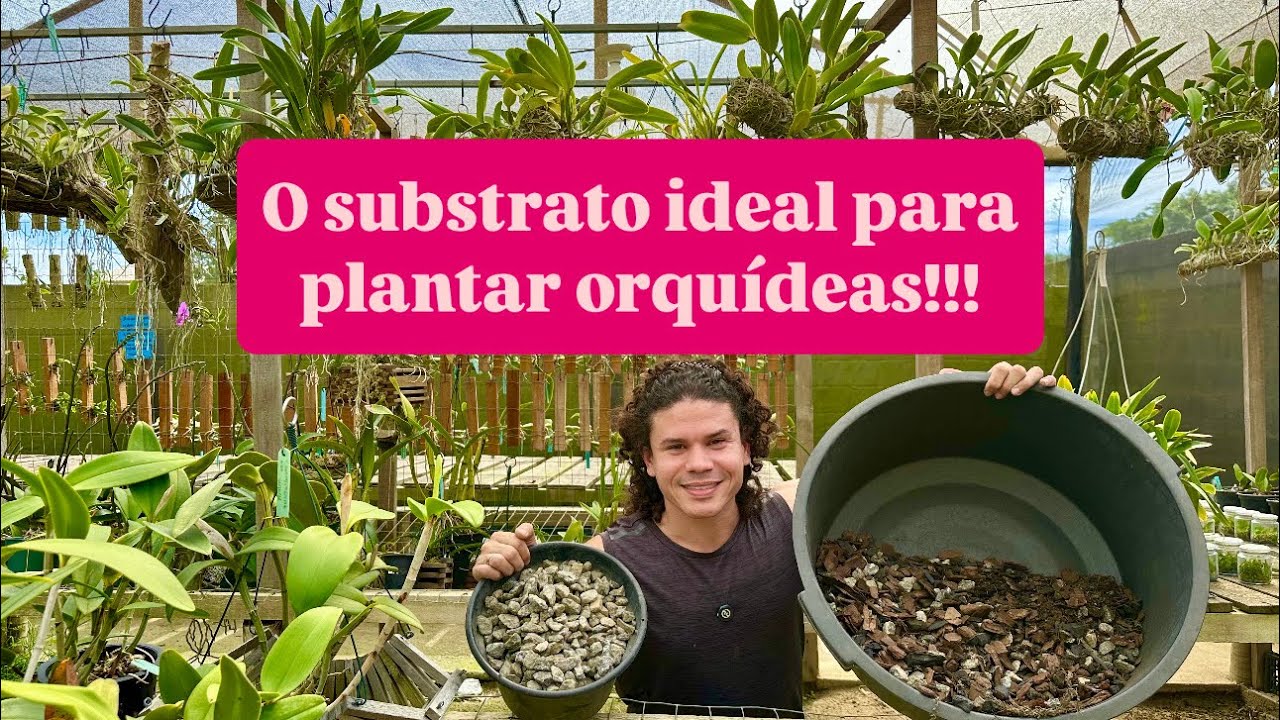 QUAL É O MELHOR SUBSTRATO PARA PLANTAR ORQUÍDEA?