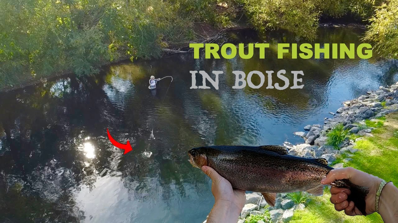Everything You Need to Know to Fly Fish the Boise River