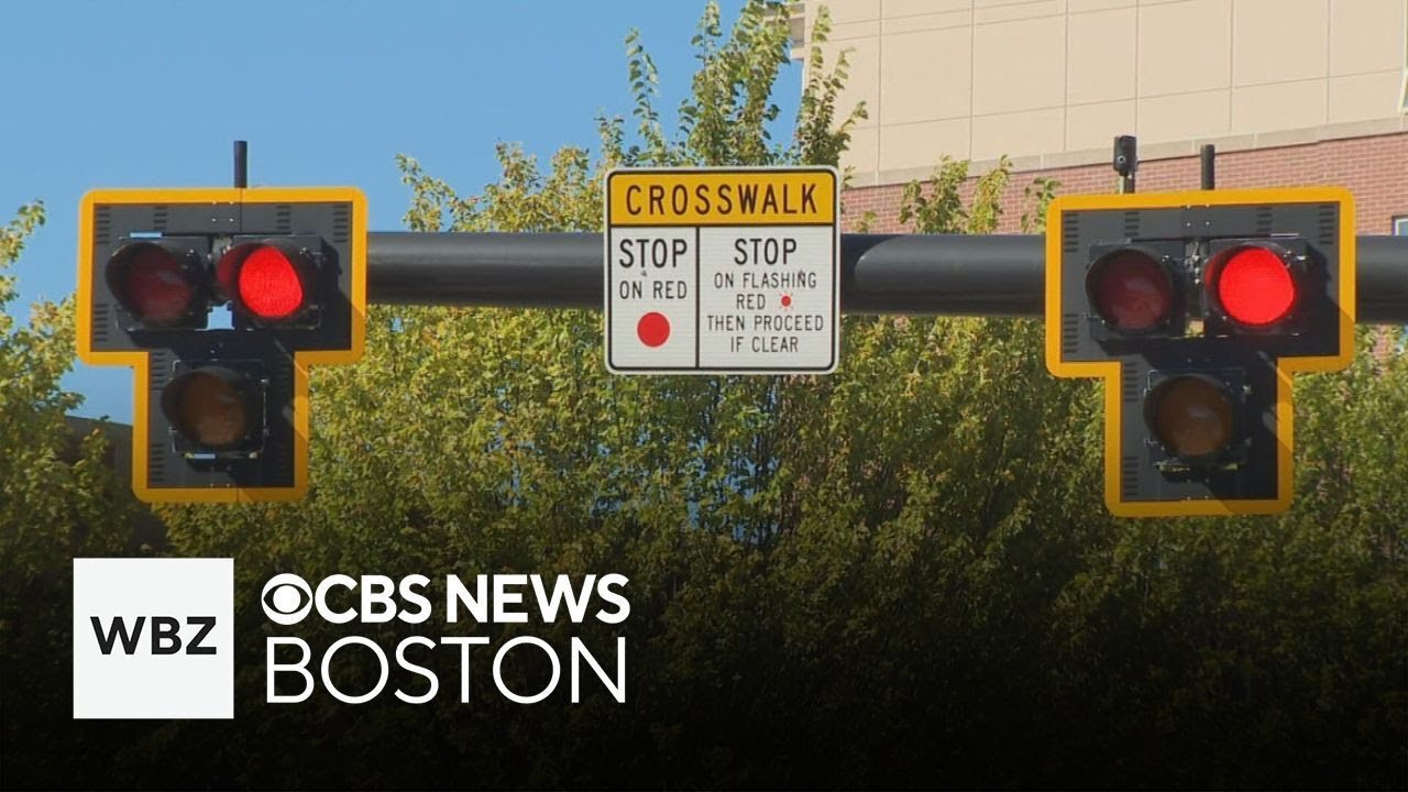 Experts say new traffic lights meant to keep pedestrians safe are confusing drivers