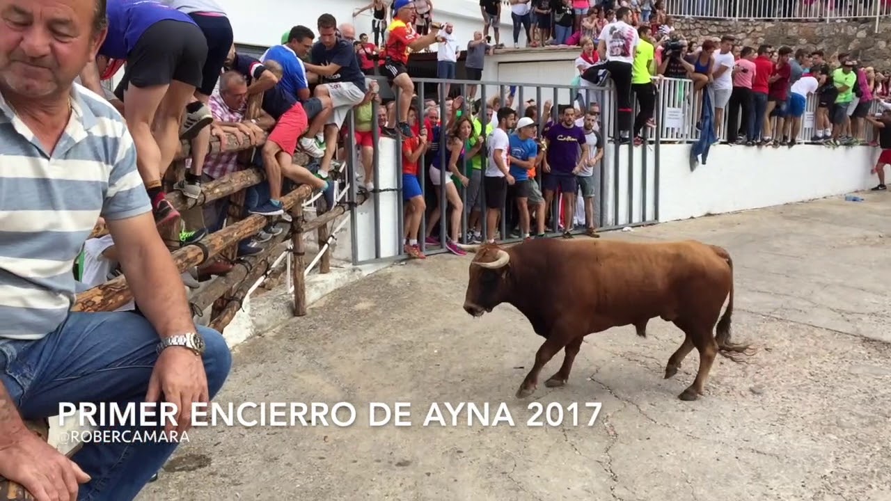 Trepidante primer encierro de Ayna 05/09/17