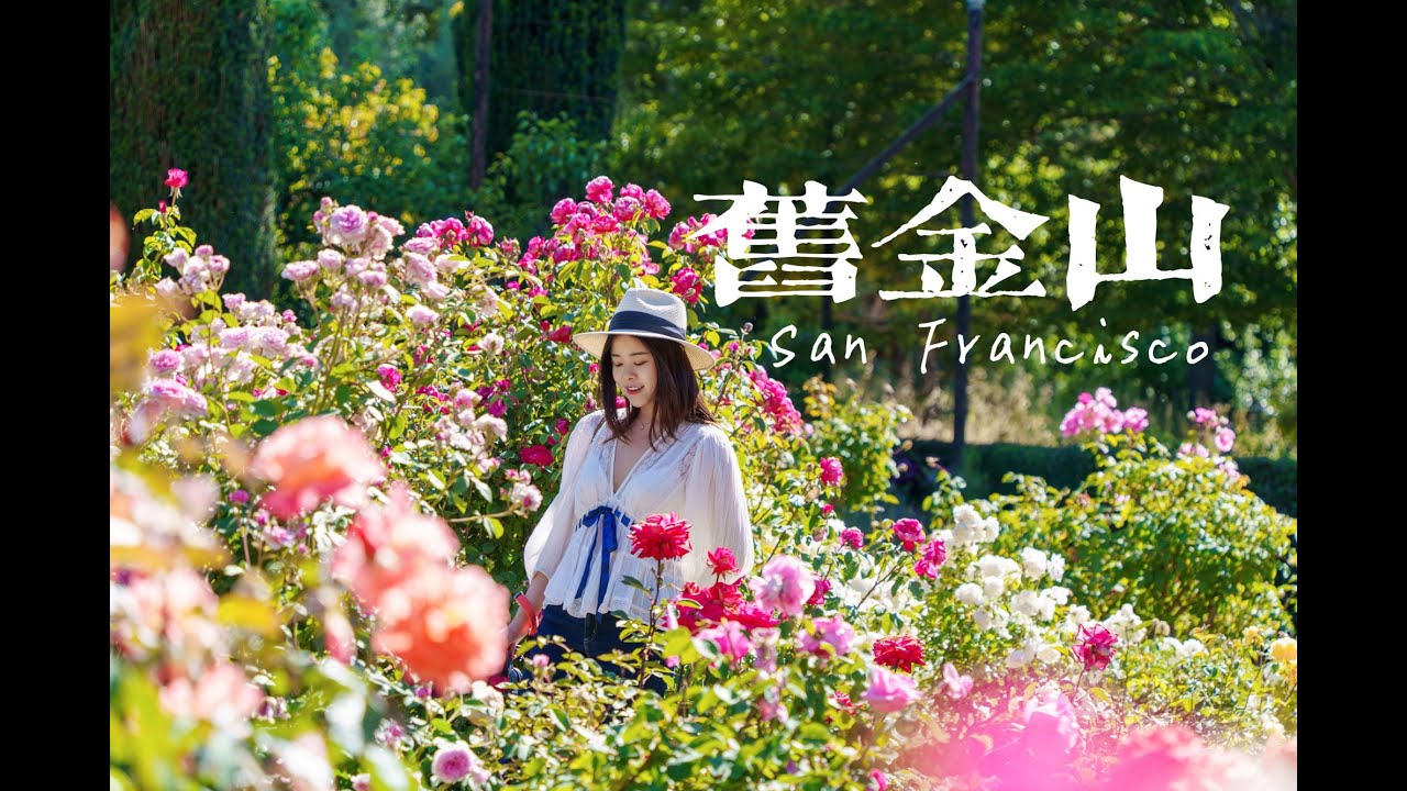 旧金山超美Filoli庄园｜雾锁金门｜斯坦福｜九曲花街｜恶魔岛监狱