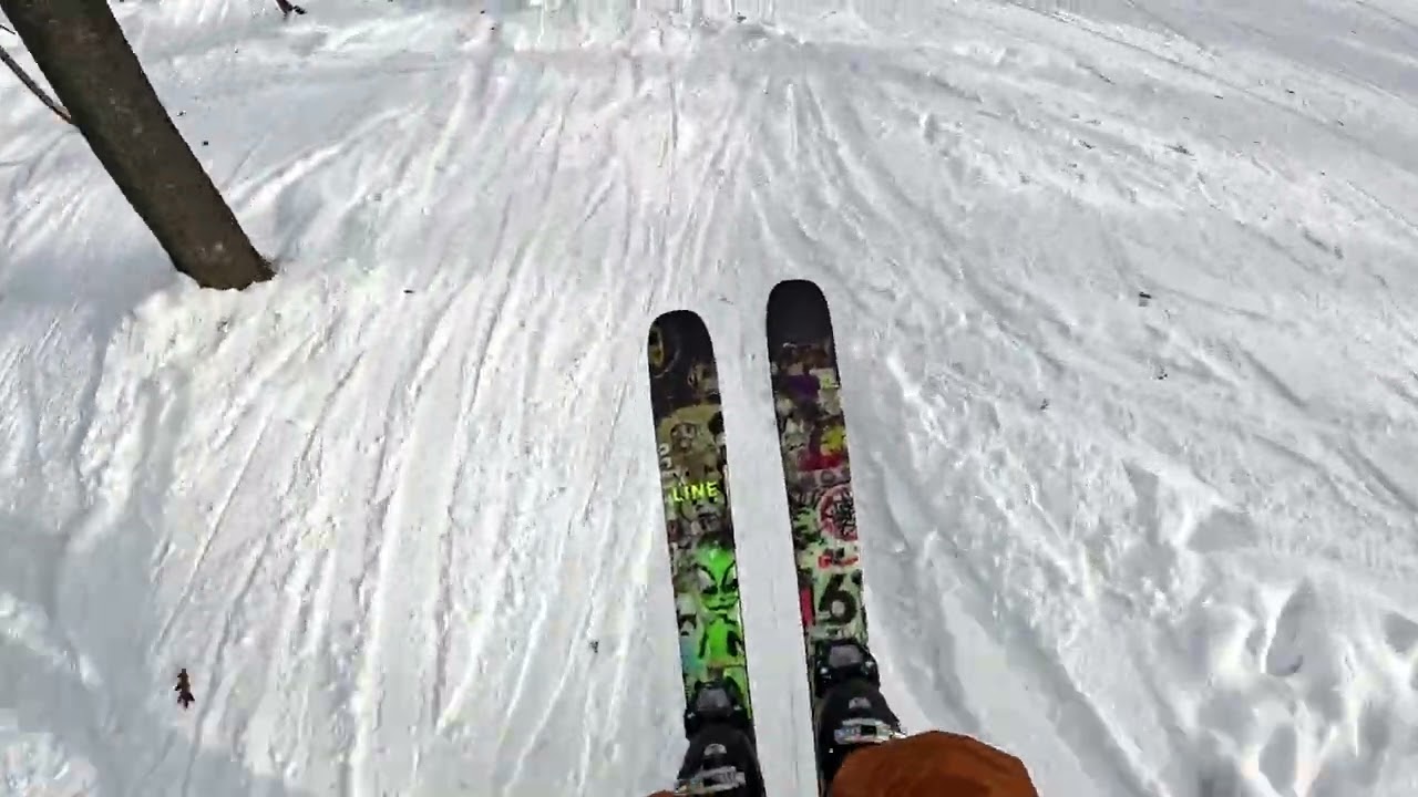 snowy skies