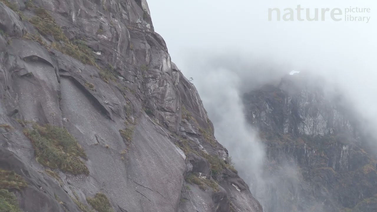 Close up of clouds shrouding a fjord, Patagonia, Chile.