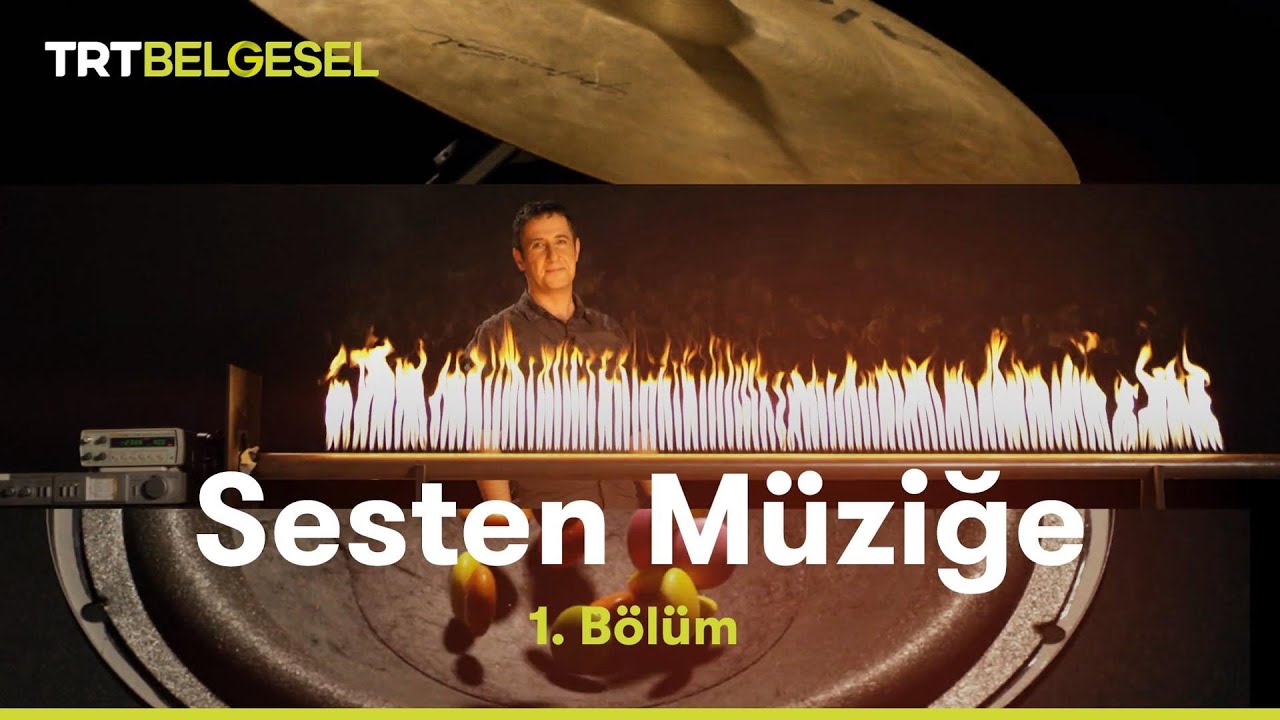 Sesten M&uuml;ziğe | Ses Nedir? | TRT Belgesel
