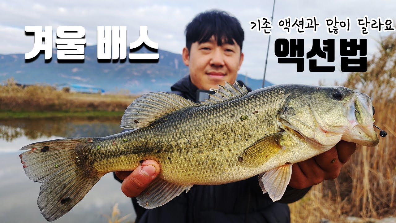겨울 배스낚시 프리리그 운용법 기존 액션과 많이 다릅니다 - 블리 -
