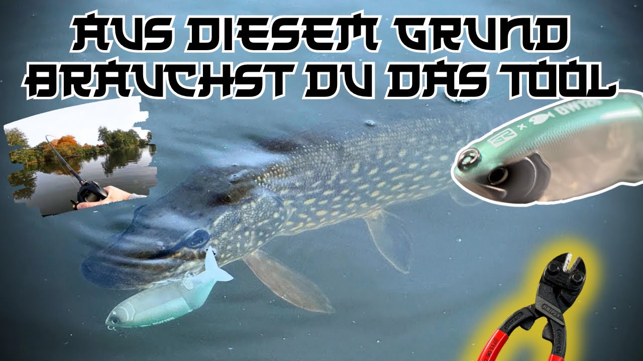 Swimbait Hecht zeigt, wieso Vorbereitung ALLES ist‼️
