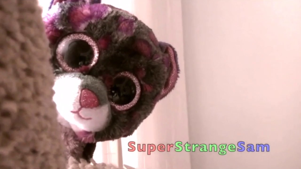 TRNDSTTR [Reuploaded] [Complete Beanie Boo Mep]