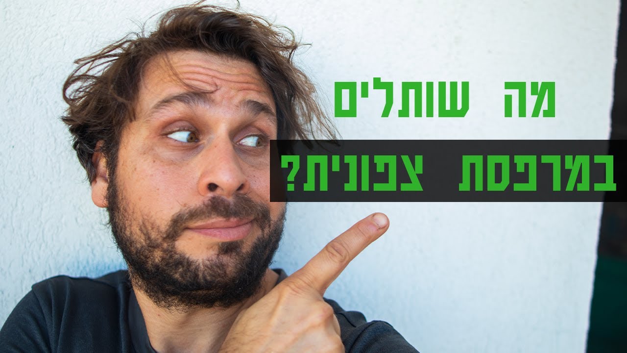 מה שותלים במרפסת צפונית?