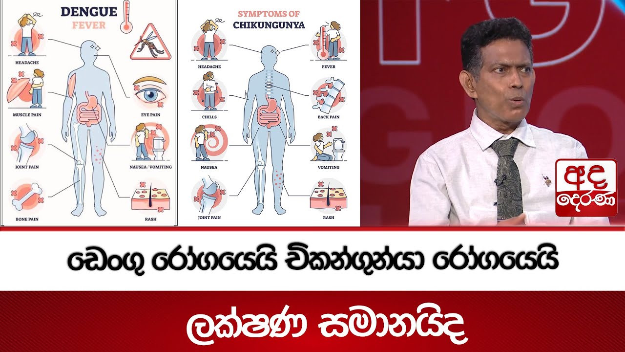 ඩෙංගු රෝගයෙයි චිකන්ගුන්යා රෝගයෙයි ලක්ෂණ සමානයිද