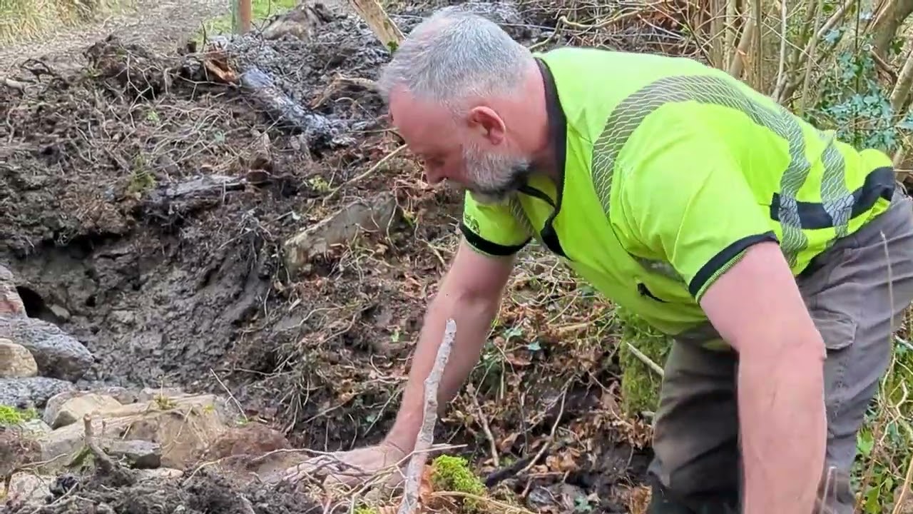 The Role of a Forest Worker