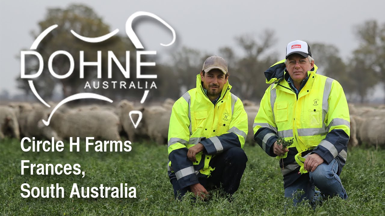 Dohnes Australia: Interview with Wayne Hawkins