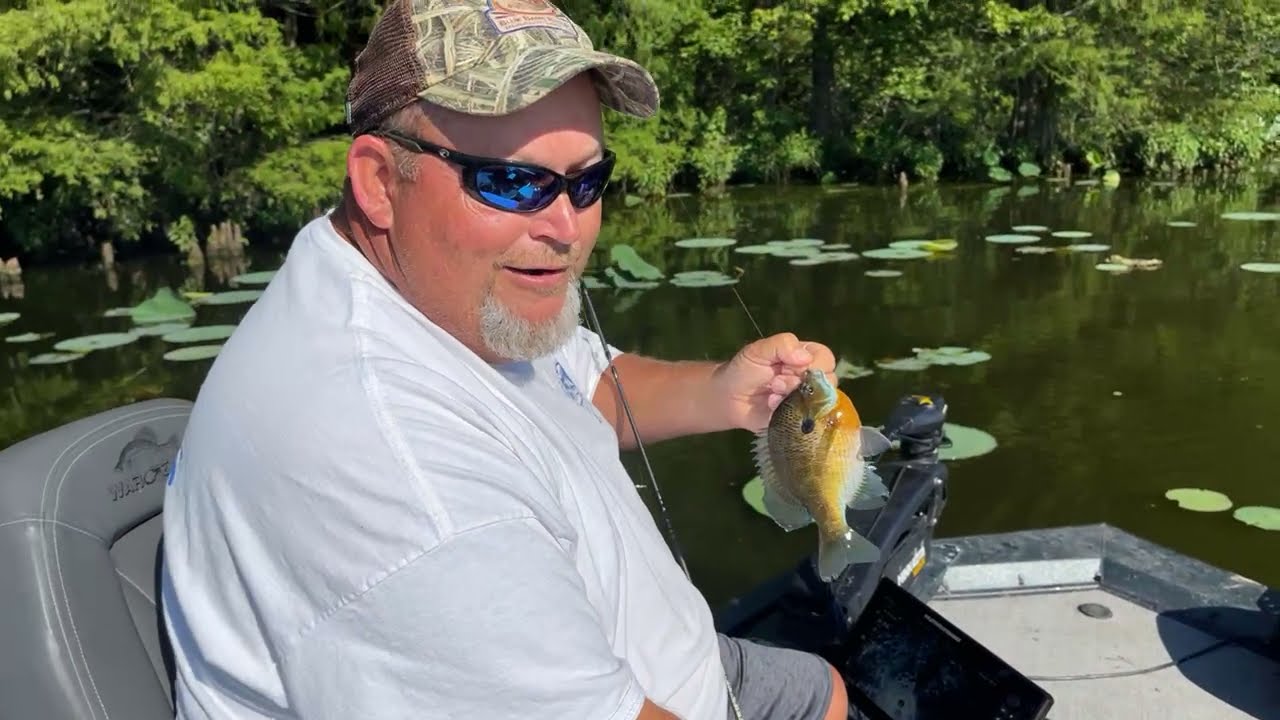Bluegill fishing with Pro guide Billy on Historic Reelfoot Lake, TN
