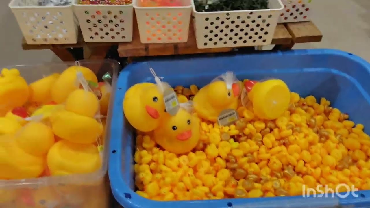 2604:One night and a confectionery 一泊と駄菓子屋さん