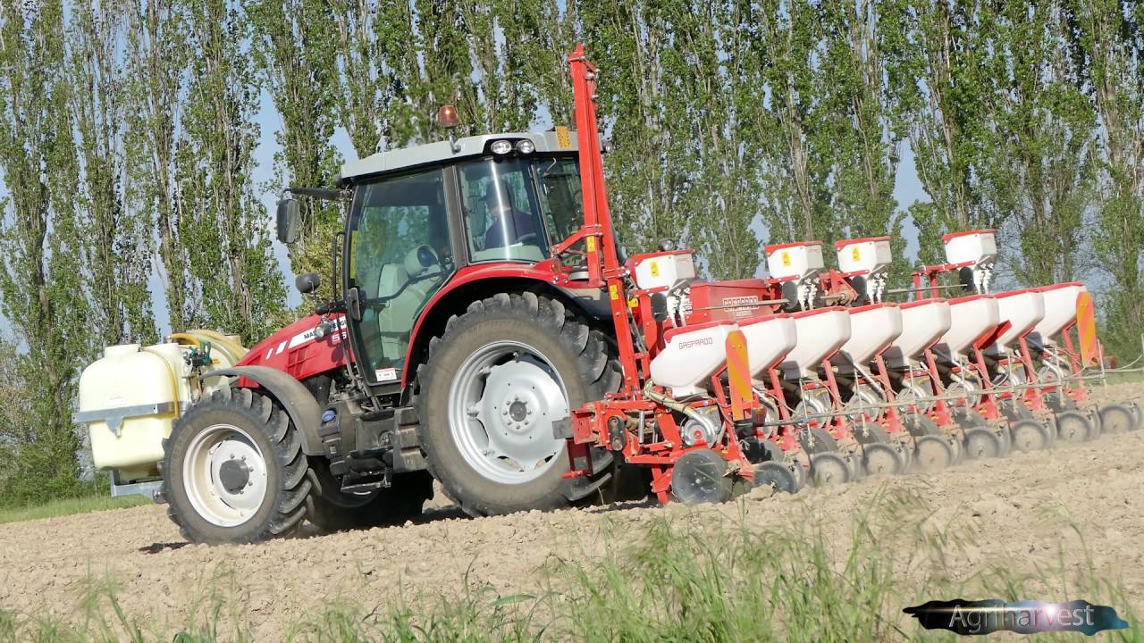 MASSEY FERGUSON 5611 Dyna-4 & Gaspardo Magica 8 Rows | Mais seeding 2016|