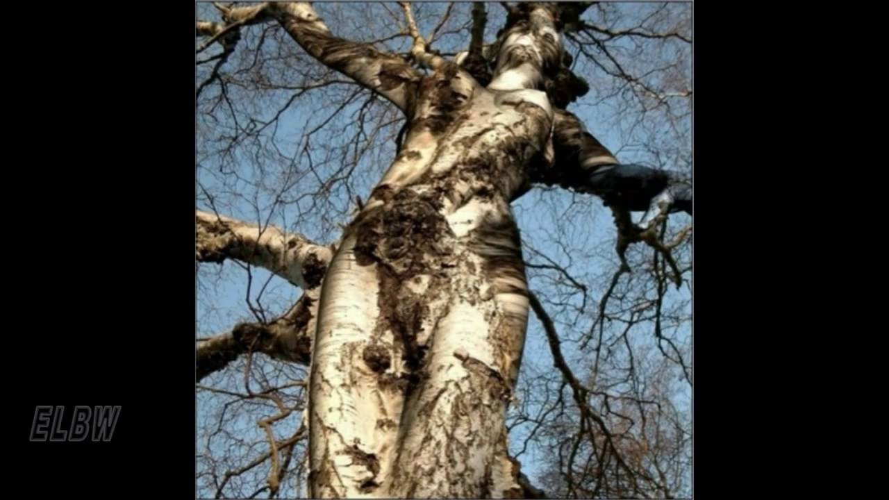 20 Strange Nature pictures
