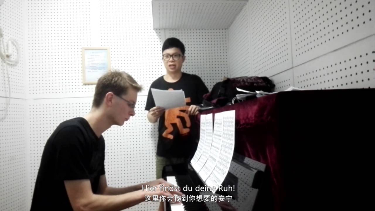 Franz Schubert: Der Lindenbaum 舒伯特：菩提树 The Lime Tree [德语中字] [De./Ch.] [En. subtitle]