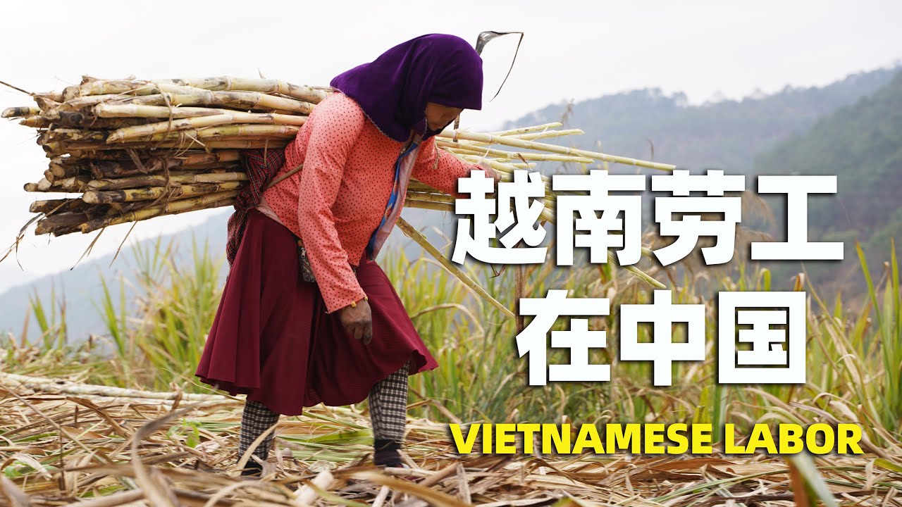 边缘地带，越南劳工在中国
