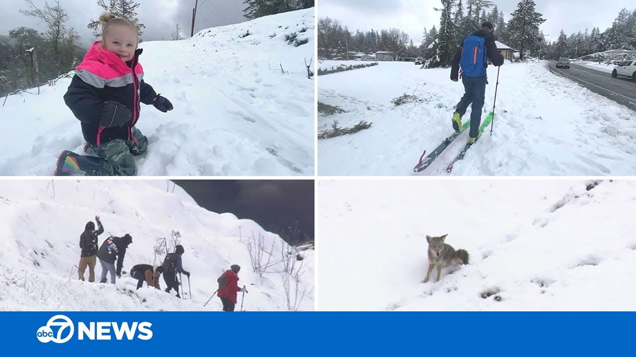 A look at the best snow videos from rare snowfall across Bay Area