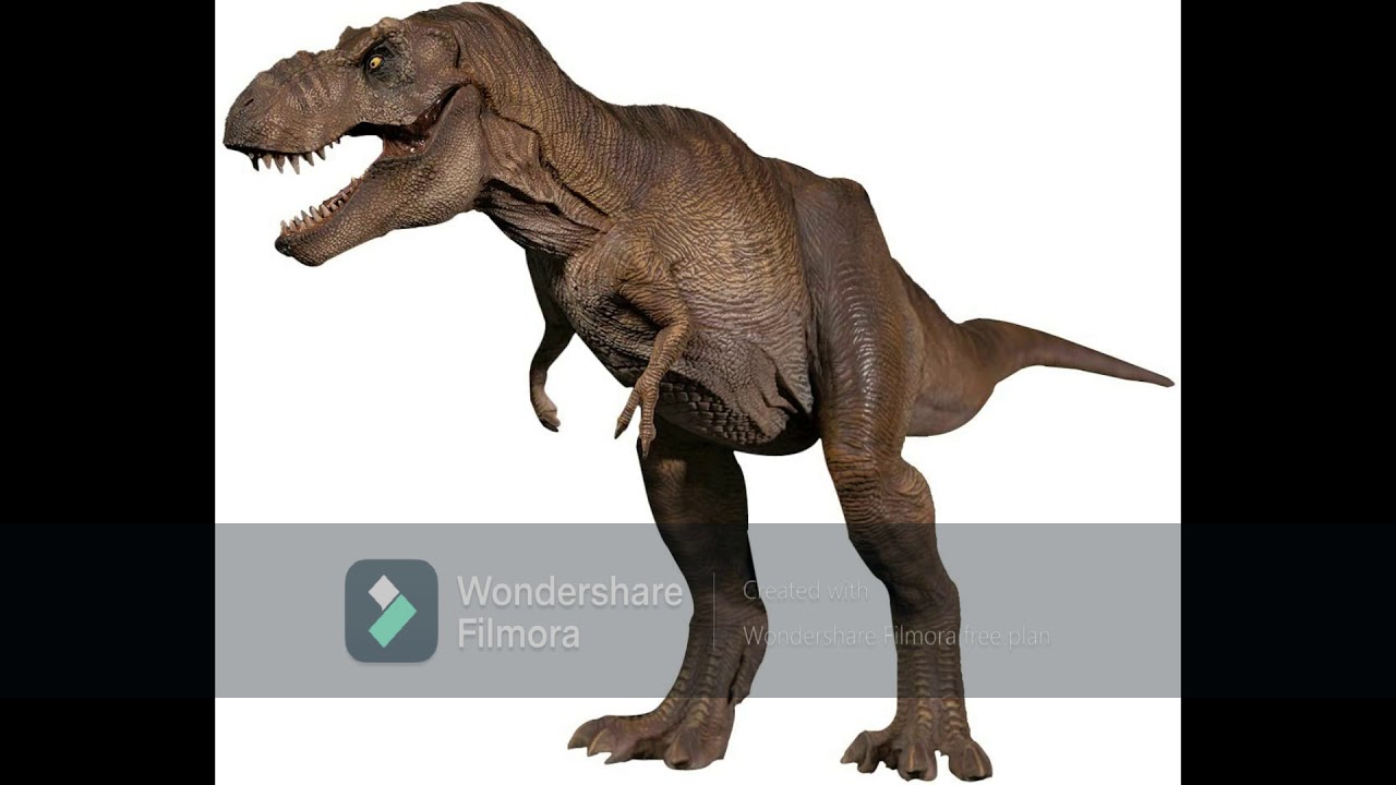 Trex Ringtone Sound  Ringtone Effect SFX Compilation