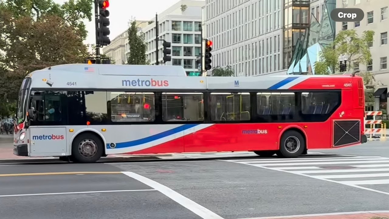 Washington DC Metro Buses #wmata #transit 