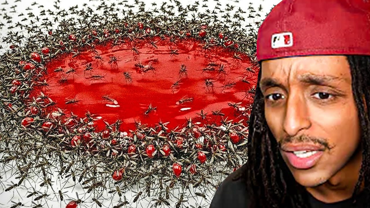 The Most Deadly Bugs That Only Eat Blood...