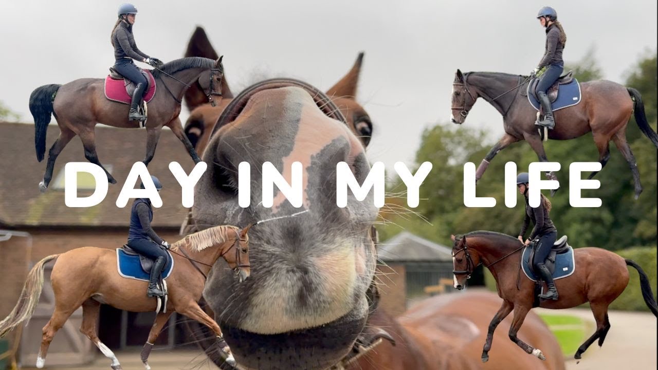Day in the life | Zora Goes To Arena Hire | Ride my Four Horses With Me