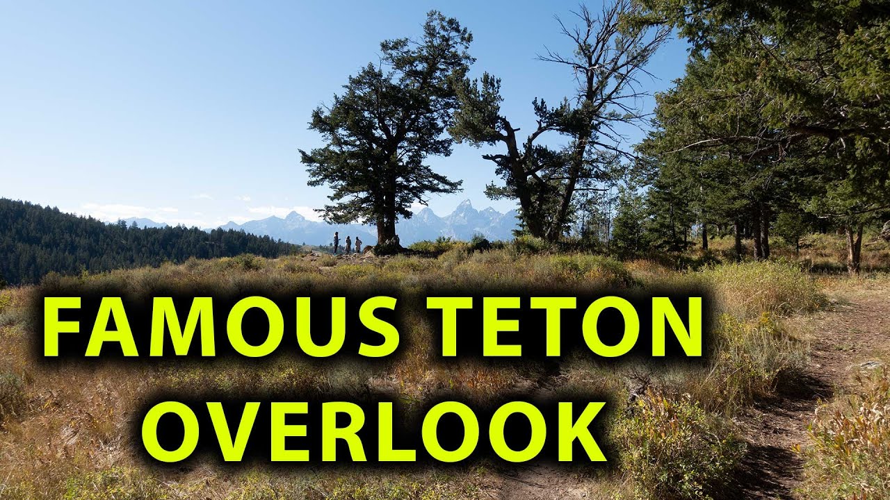 Hiking Alone to a Famous Grand Teton Overlook - Wedding Tree, 4K UHD