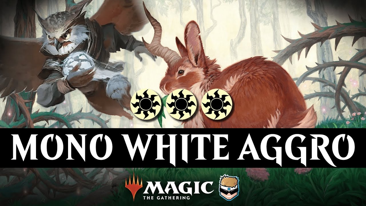 I saved mono white aggro, and I already regret it