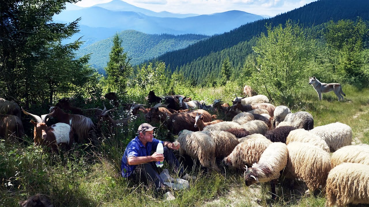 A Life Among 300 Sheep, 200 Goats, and Mountain Trails | DOCUMENTARY