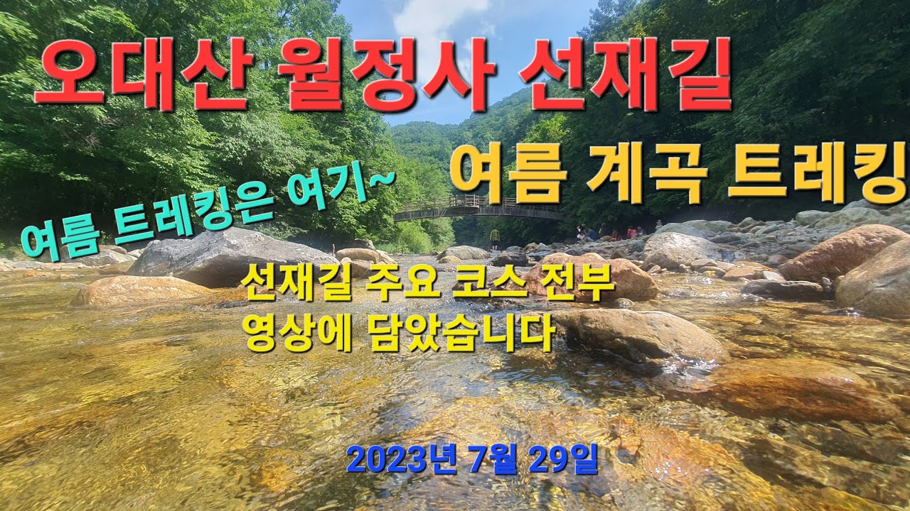 여름 계곡 트레킹은 여기가 최고~ [오대산 월정사 상원사 선재길 여름 계곡 트레킹]