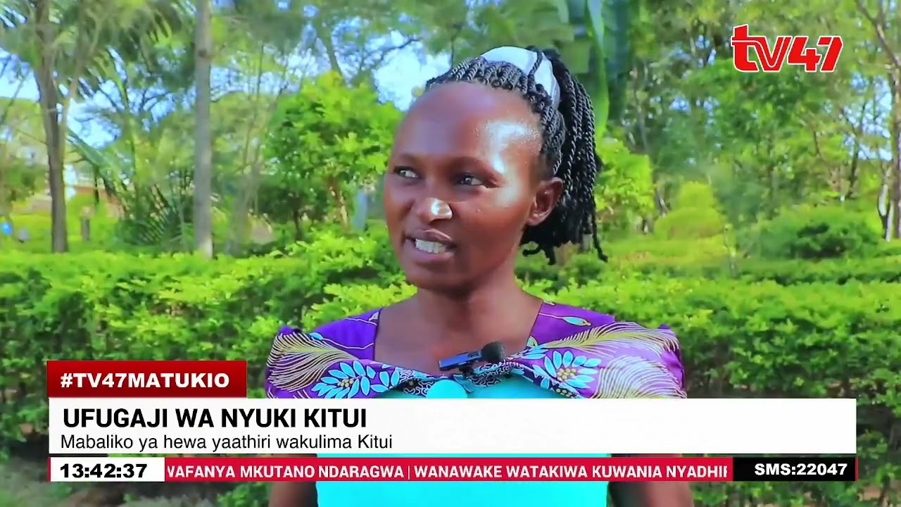 Wakulima kutoka Kaunti ya Kitui wakumbatia ufugaji wa nyuki