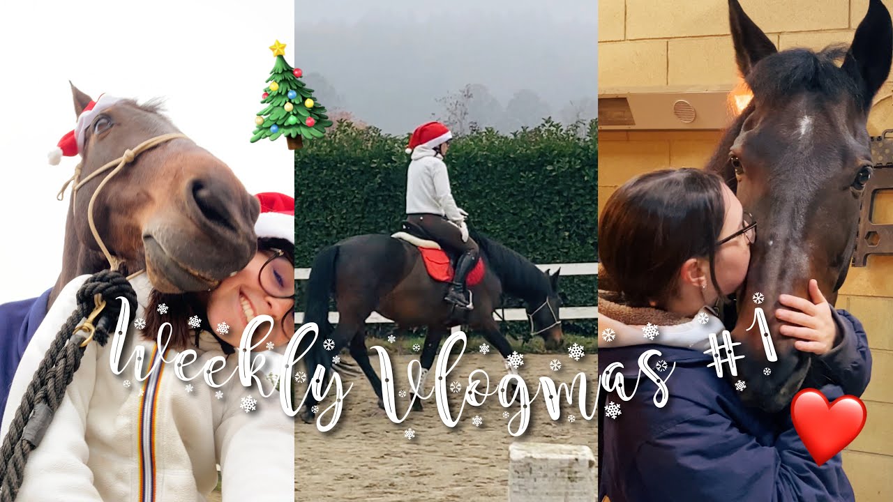 INIZIANO I VLOGMAS EQUESTRI! 🐴🎅🏻 ❤️ #weeklyvlogmas