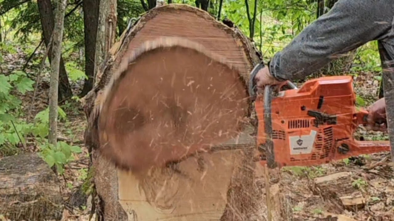 Trying out a $299 Holzfforma G395xp 24
