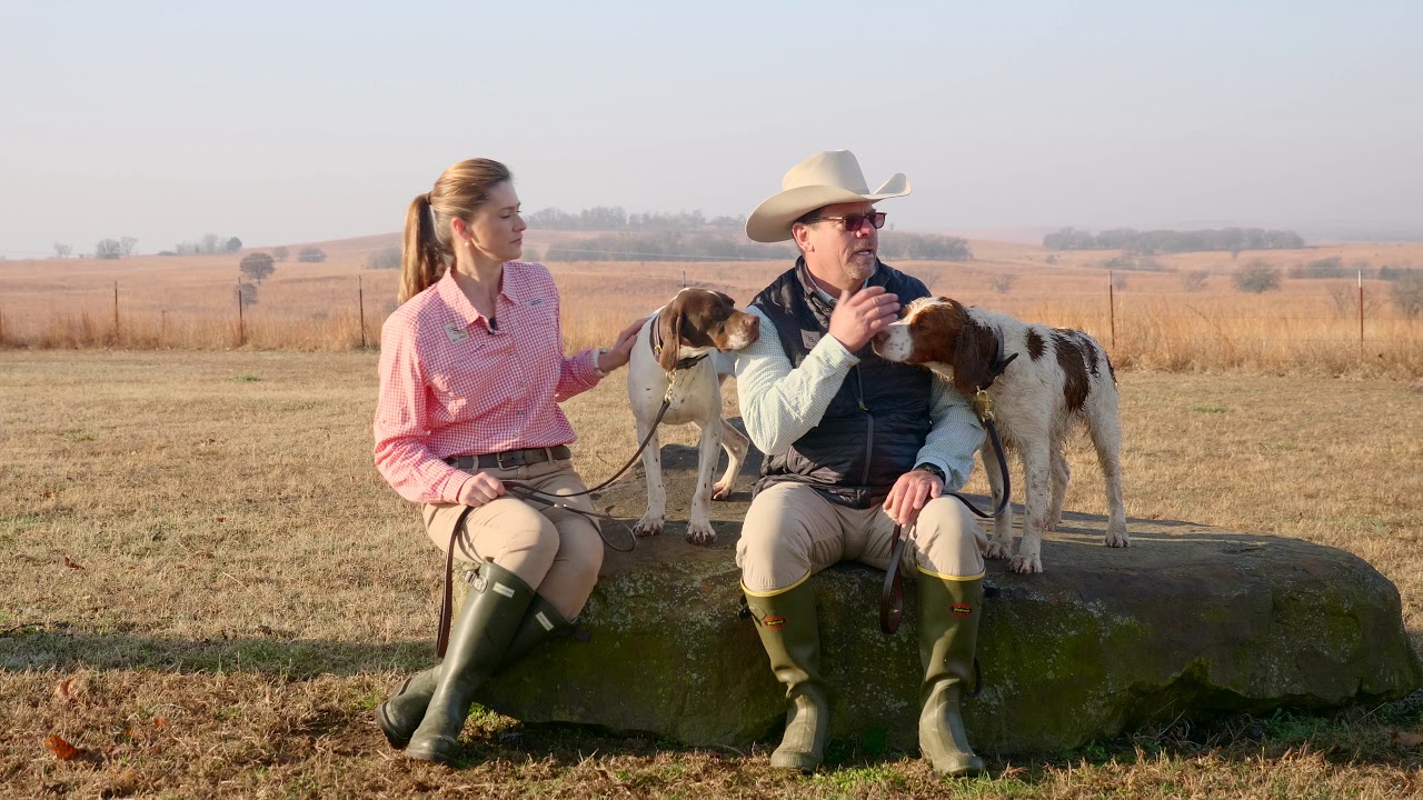 Orvis Dog-Training Series, Episode 1: The Mindset of the Dog