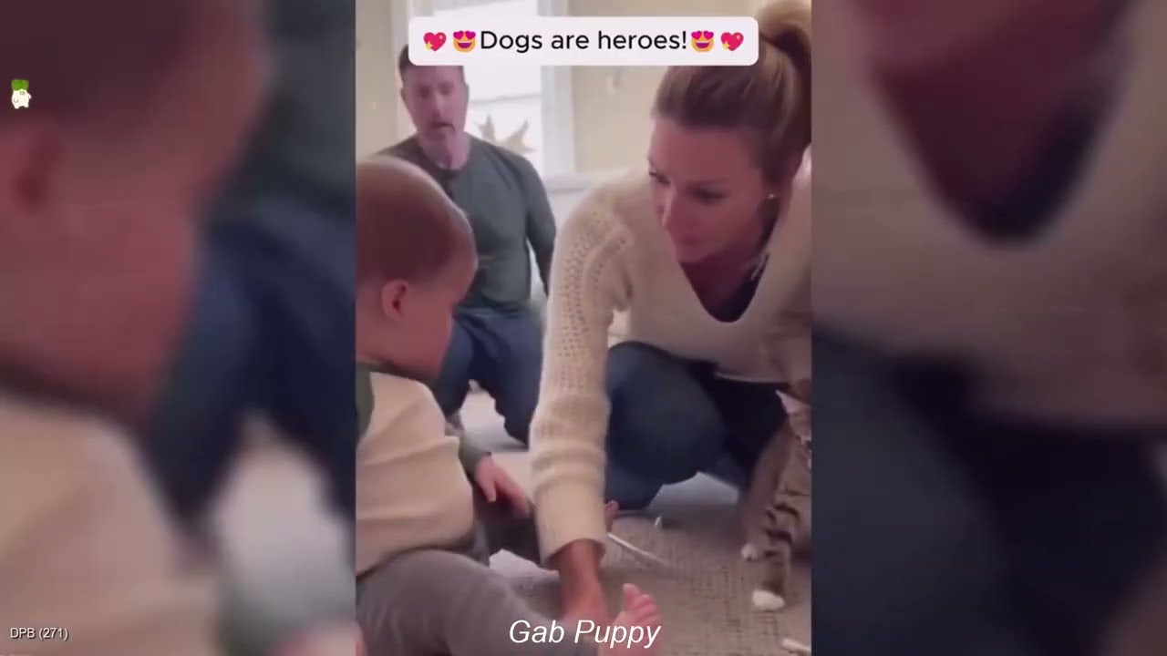 You Laugh You Lose 😺🐕 Dogs Protect Babies- Heartwarming Moments 😻