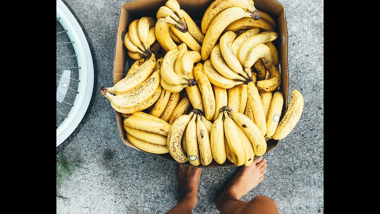 Morning Eating Routine