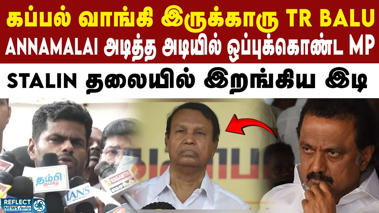 Annamalai செய்த குறுக்கு விசாரணை - வசமாக சிக்கிய TR BALU |  DMK Files | Annamalai Vs TR Baalu