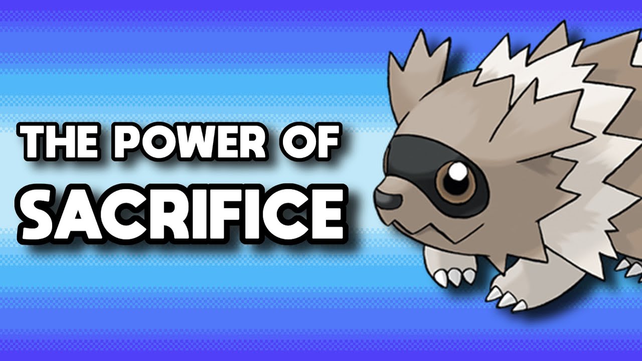 Why This Route 1 Rat Is Pokemon's Bravest Warrior