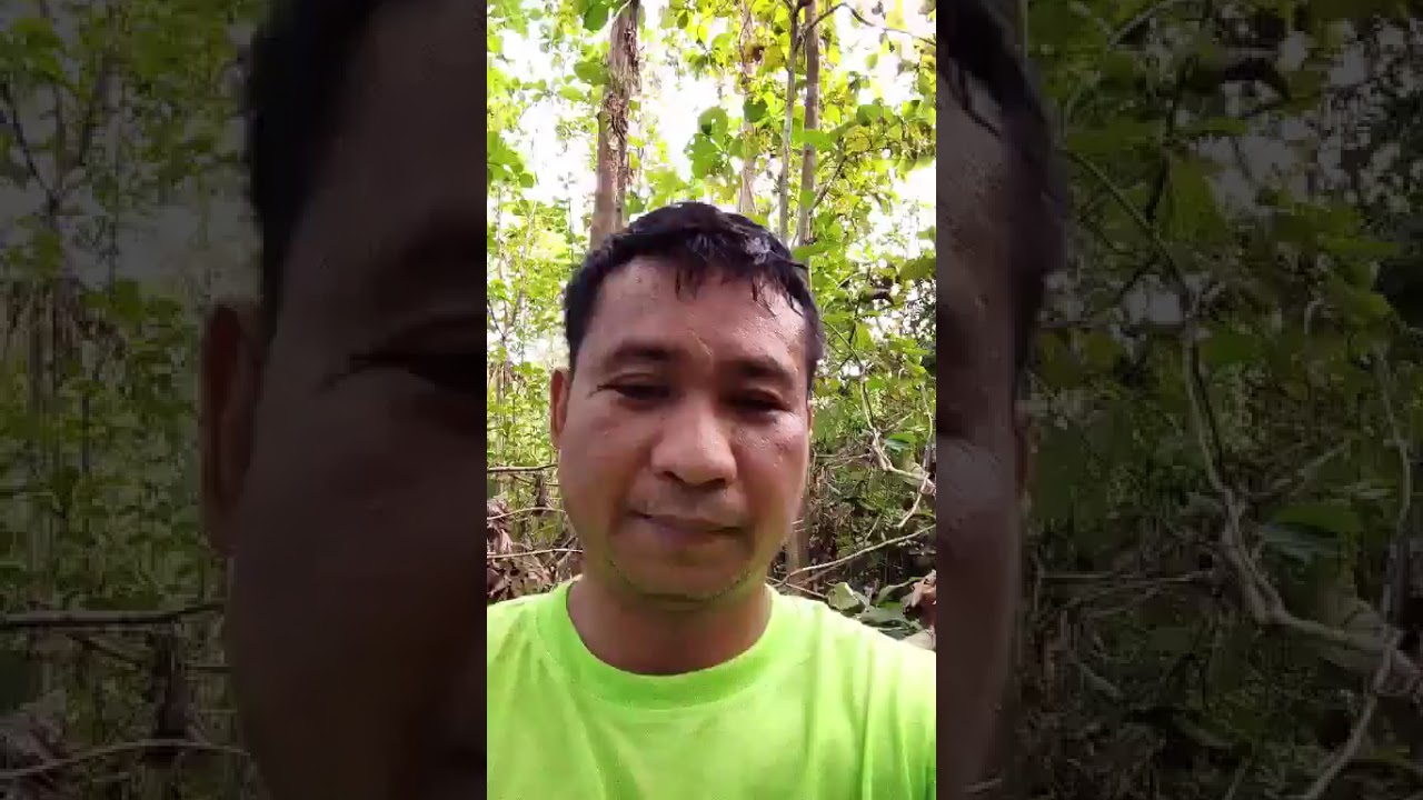 Live  January 03-2026-From Angayan sur balungao pangasinan Tara samahan ninyo Ako  Dito sa gubat
