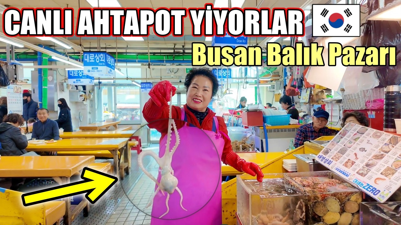 Busan Balık Pazarı 🐟 CANLI AHTAPOT YİYORLAR🐙【2. Bölüm】