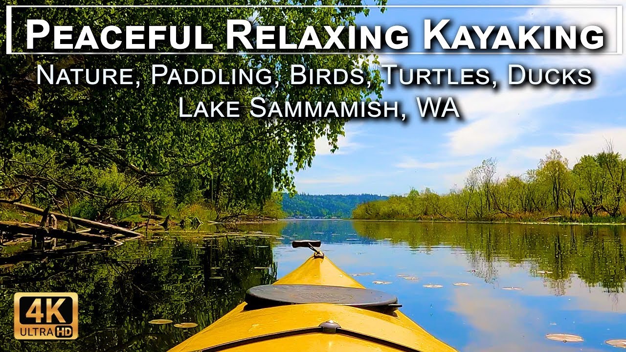Peaceful Relaxing Kayaking in 4K UHD - Nature, Paddling, Birds, Turtles, Ducks in Lake Sammamish, WA