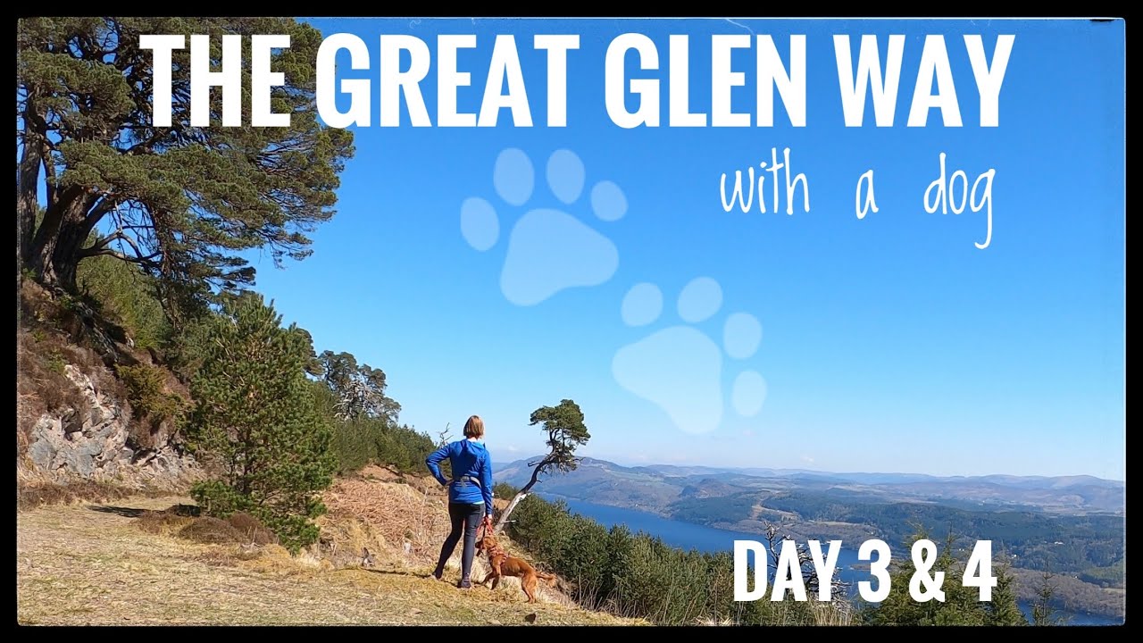 The Great Glen Way with a dog: Day 3 and 4