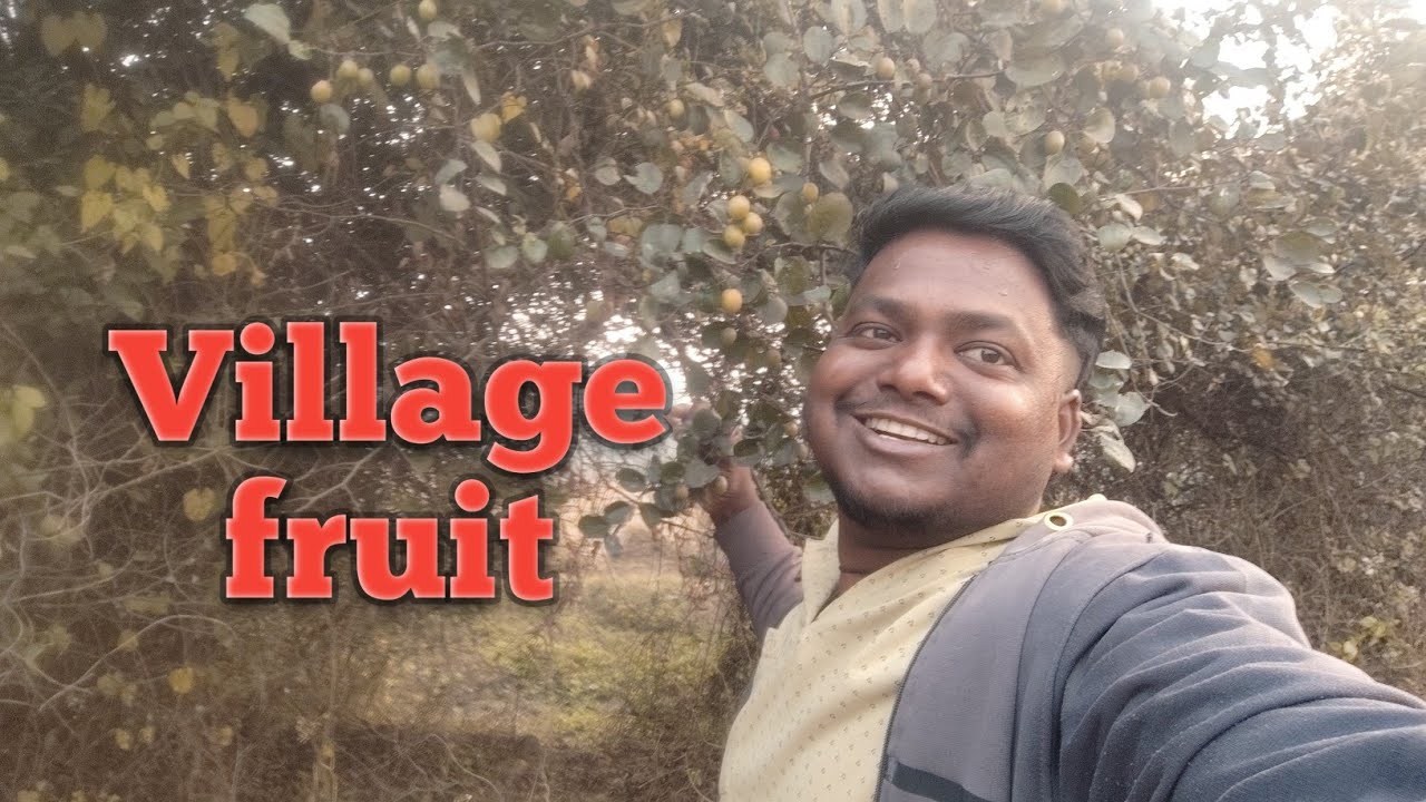 Village fruit vlog || village fruit || village fruit eating || village fruits video || village vlog
