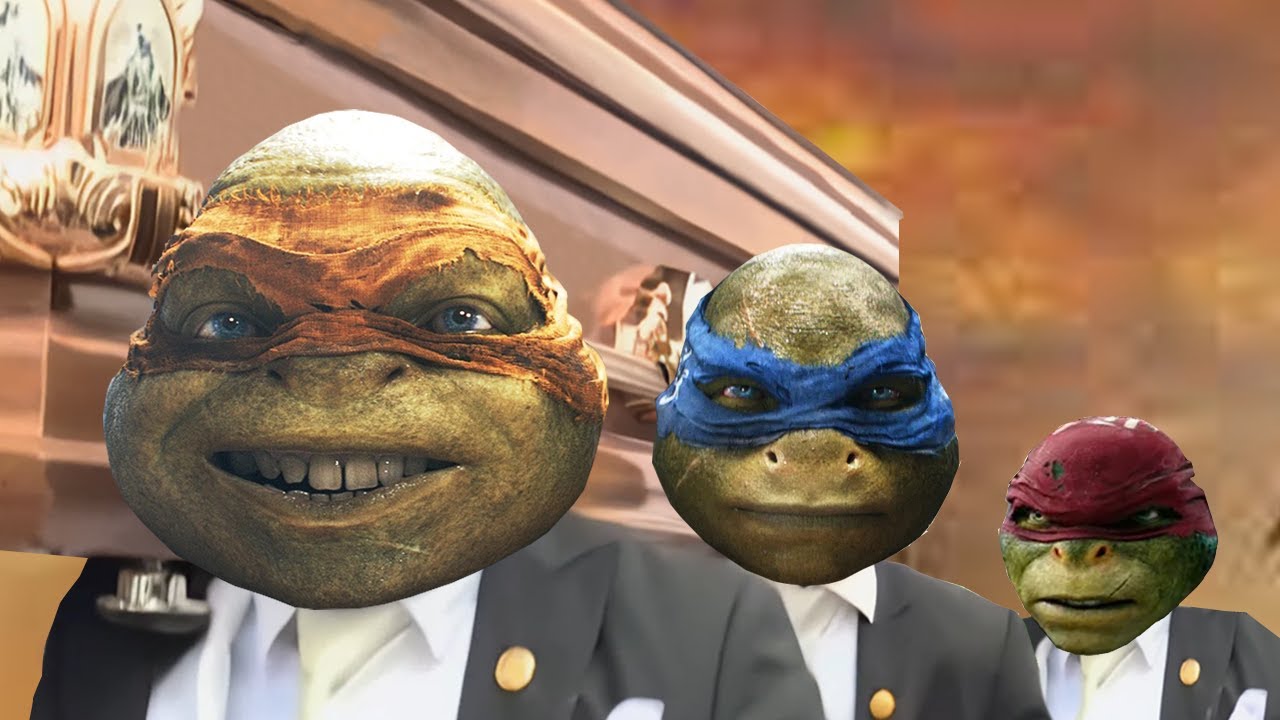 Teenage Mutant Ninja Turtles - Coffin Dance Song (COVER)
