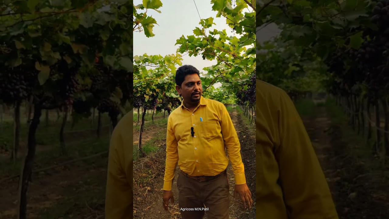 क्रीमसन भाग-1 एम.एन.पाटील 9623446967