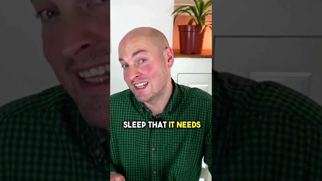 The #1 secret to end INSOMNIA
