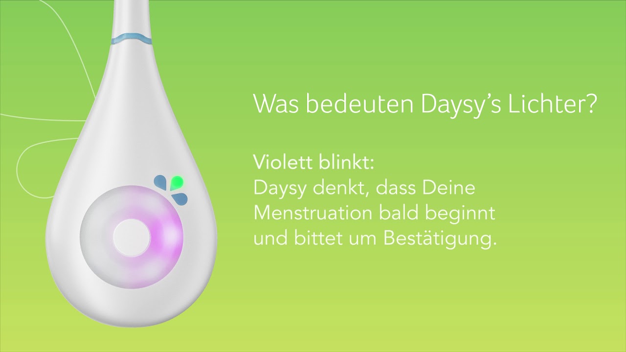 Was bedeuten Daysy´s Lichter? (Daysy 2.0)