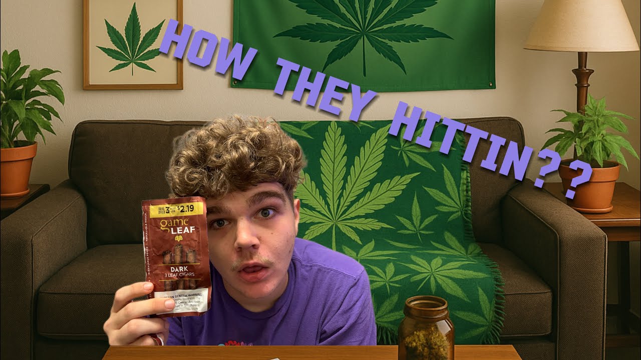 Are these better than backwoods??