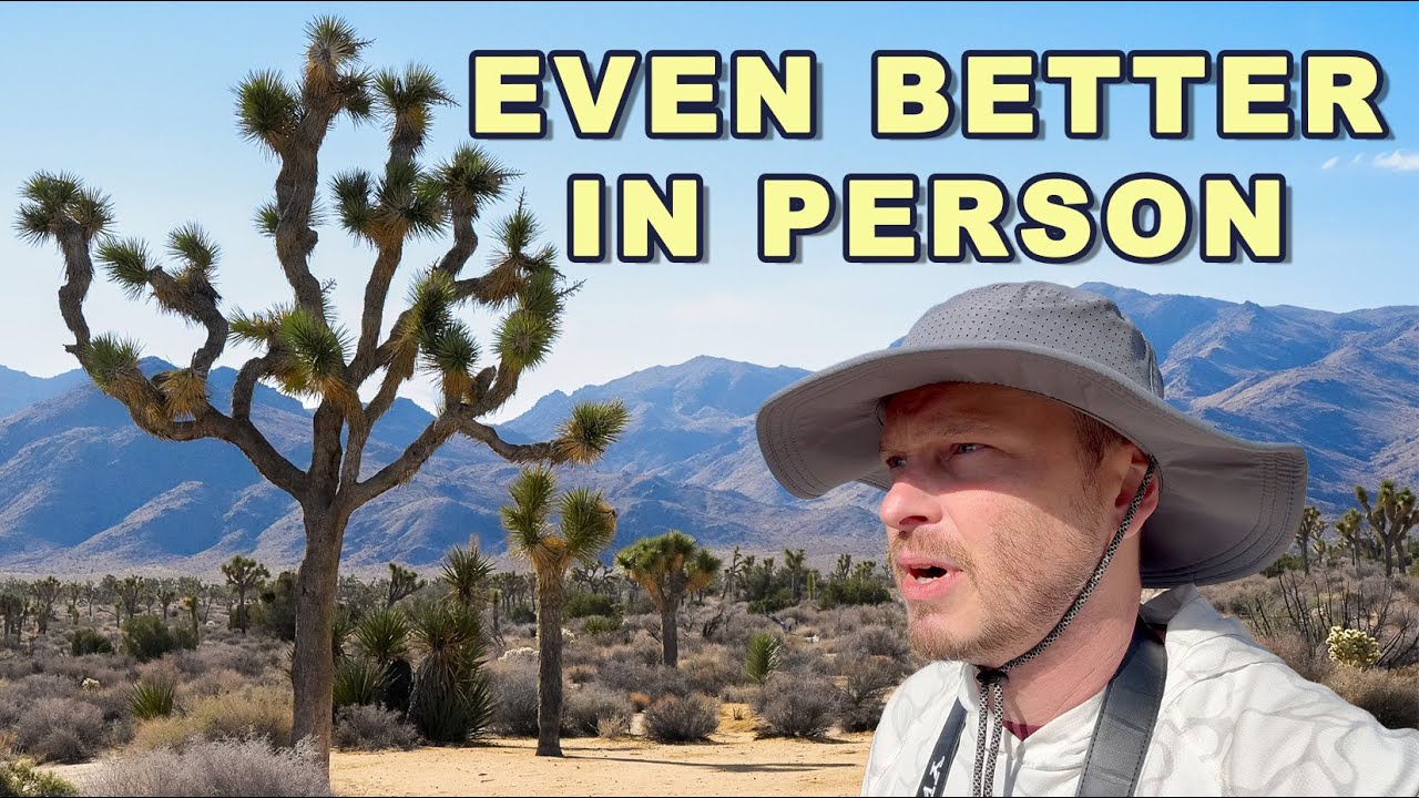 Driving Joshua Tree National Park End to End